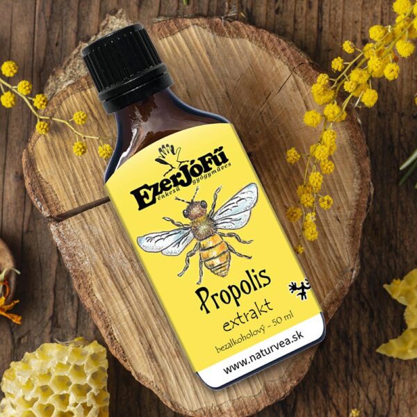 Propolis bezalkoholický extrakt 50 ml